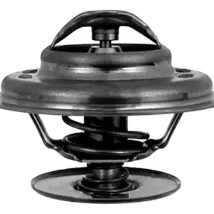 TERMOSTATO MERCEDES BENZ 79º